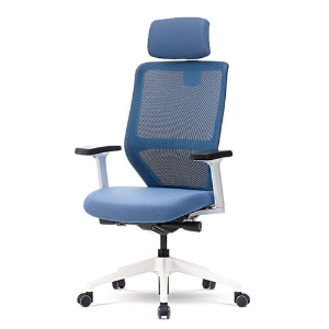 EZ SM-100WL 샤인시리즈 공부용의자 높이조절 의자 가성비의자
